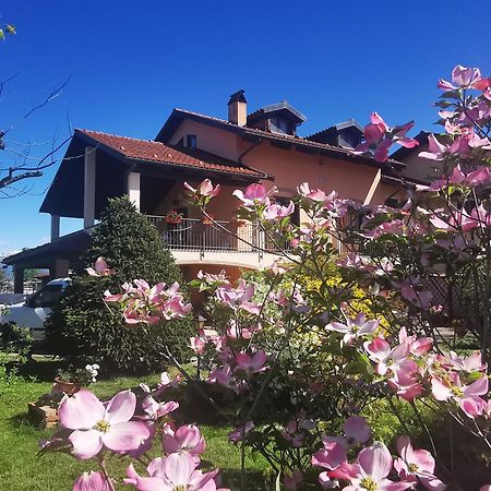 Appartamento Orto Del Pettirosso Front Esterno foto